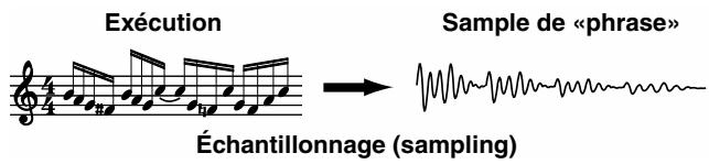 BOSS SP-505 - Échantillons de «phrase - 1