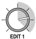 ZOOM STUDIO 1202 - [EDIT 1/2 Parameters] - 2