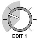 ZOOM STUDIO 1202 - [EDIT 1/2 Parameters] - 1