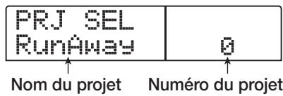 ZOOM 1266 - Sélection de la démonstration - 1