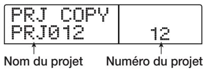 ZOOM 1266 - Copier un projet - 1