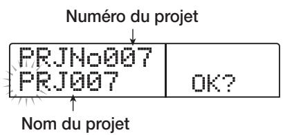 ZOOM 1266 - Créer un nouveau projet - 1