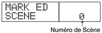 ZOOM 1266 - Changement automatique de scène - 1
