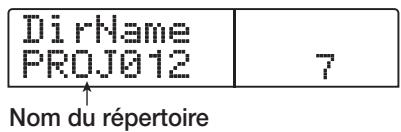ZOOM 1266 - Pour contrôler le nom du réseau dans lequel sera lu le projet, pressez le bouton curseur bas. - 1