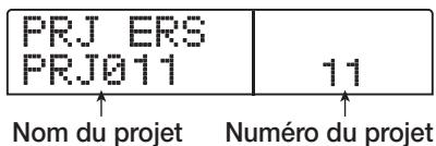 ZOOM 1266 - Effacer un projet - 1