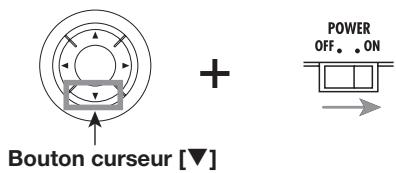 ZOOM PFX9003 - Coupure du rétro-éclairage - 1