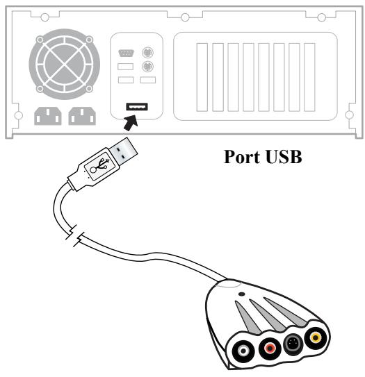 PINNACLE DAZZLE DIGITAL VIDEO CREATOR 90 - Installation du DVC 90 - 2