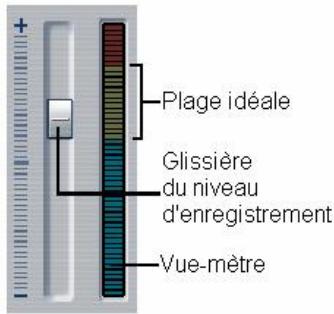 PINNACLE STUDIO9 - Niveau de la voix-off - 1