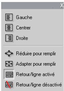 PINNACLE STUDIO9 - Commandes de mise en forme du texte - 2