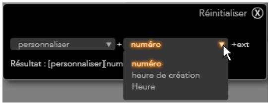 PINNACLE STUDIO VERSION 14 - Le panneau du nom de fichier - 4