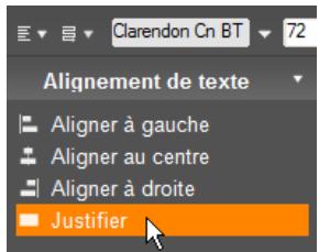 PINNACLE STUDIO VERSION 14 - Alignement de texte - 1