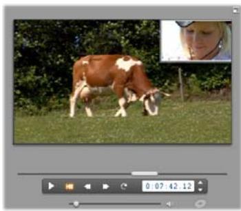 PINNACLE STUDIO VERSION 14 - L'outil incrustation d'image (picture-in-picture) - 1