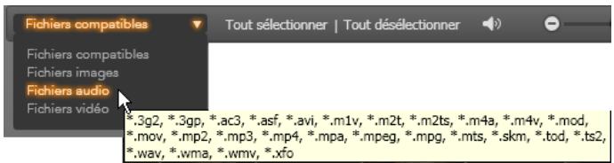 PINNACLE STUDIO VERSION 14 - Personnaliser le navigateur - 2