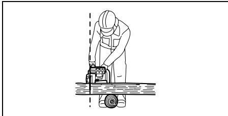 DOLMAR AS-1812 - Equipamentos de proteção pessoal - 1