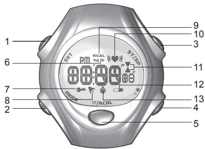 OREGON SE128 - Les boutons de commande du recepteur bracelet - 1