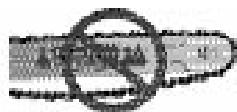 OREGON SUPER GUARD - Remarque: - 2