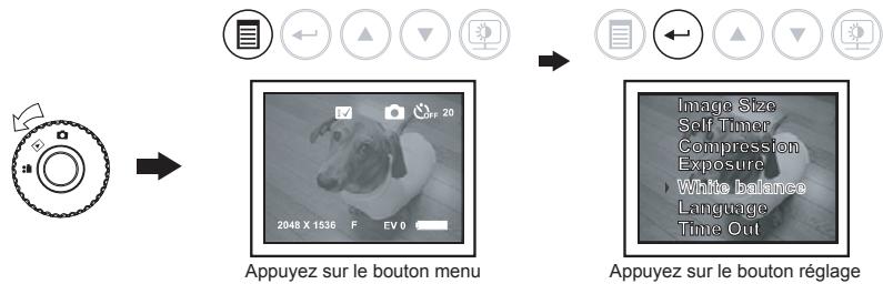 OREGON TL017 - Réglage balance des blancs - 1