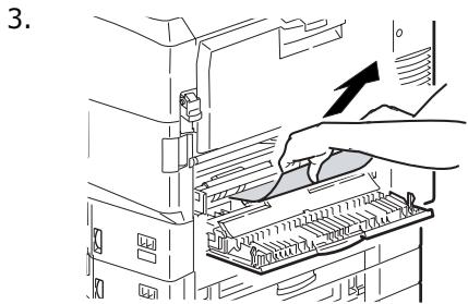 OKI MPS9650C - Tapa lateral de la bandeja - 3