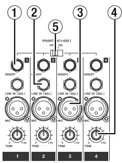 TASCAM DM-24 - Module d'entrées analogiques - 1