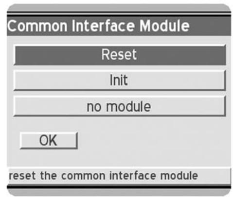 DREAM MULTIMEDIA DM 7000-S - Common Inerface - 1
