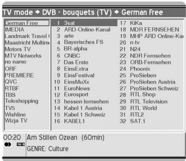DREAM MULTIMEDIA DM 7000-S - Kanalliste - 1