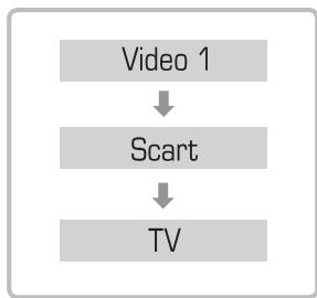 WE DIGITAL WE RECORD - Enregistrement de base (version scarf) - 3