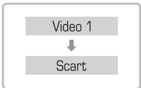 WE DIGITAL WE RECORD - Enregistrement de base (version scarf) - 2
