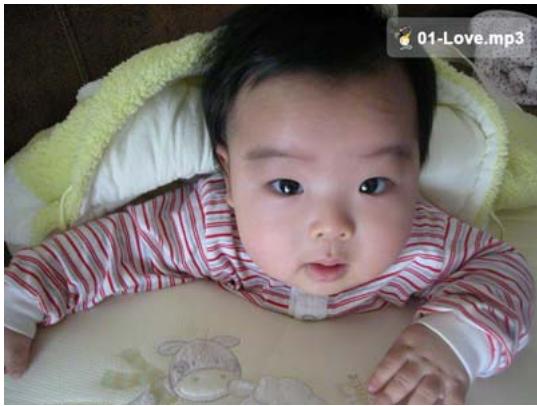 WE DIGITAL FULL TFT HDMI H264 - Référence - 1