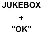 WE DIGITAL FULL TFT HDMI H264 - Allez dans JUKE BOX creator - 2