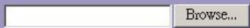 VIVANCO WLAN ROUT 54-N - DDNS - 1