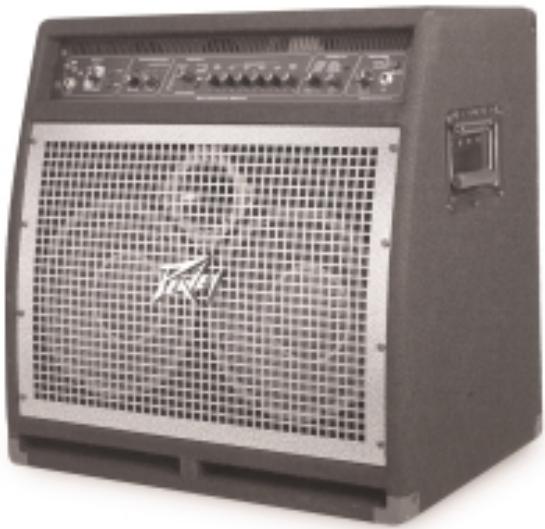 PEAVEY BAM 210 - BASS-MODELING-VERSTÄRKER - 1