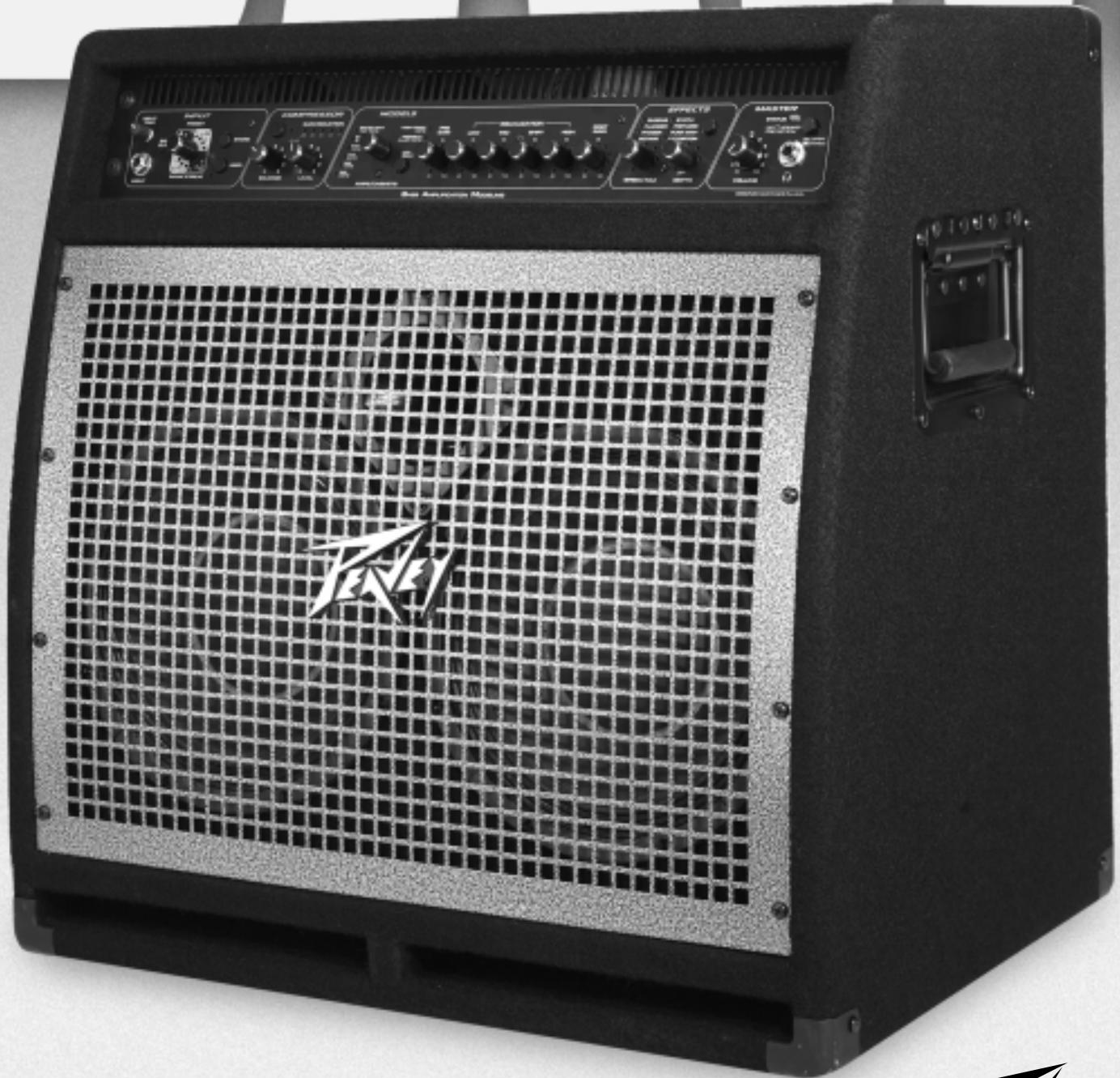 PEAVEY BAM 210 - 1