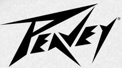 PEAVEY BAM 210 - 2