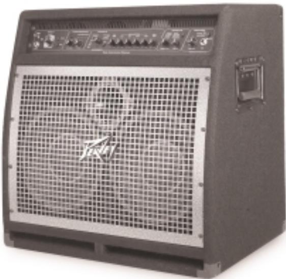 PEAVEY BAM 210 - AMPLIFICADOR DE BAJO DE MODELACIÓN DE SONIDO - 1