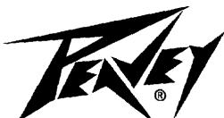 PEAVEY DUEL 212 - SAVE THESE INSTRUCTIONS! - 1
