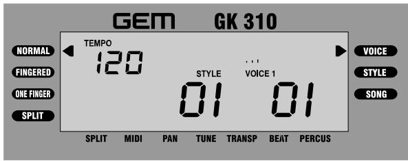 GEM GK 310 TEMPOR 120 STYLE VOICE 1 SPLIT MIDI PAN TUNE TRANSP BEAT PERCUS VOICE STYLE SONG