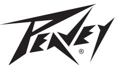 PEAVEY KOSMOS V2 - NOTES - 1