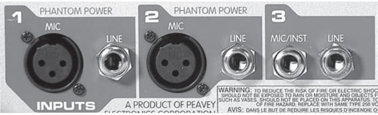 PEAVEY MESSENGER M100 - Richtlinien für den Einsatz von Mikros - 1