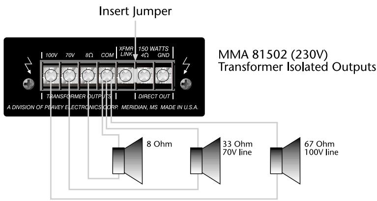 PEAVEY MMA 8752 - MMA81502 (120V) - 2