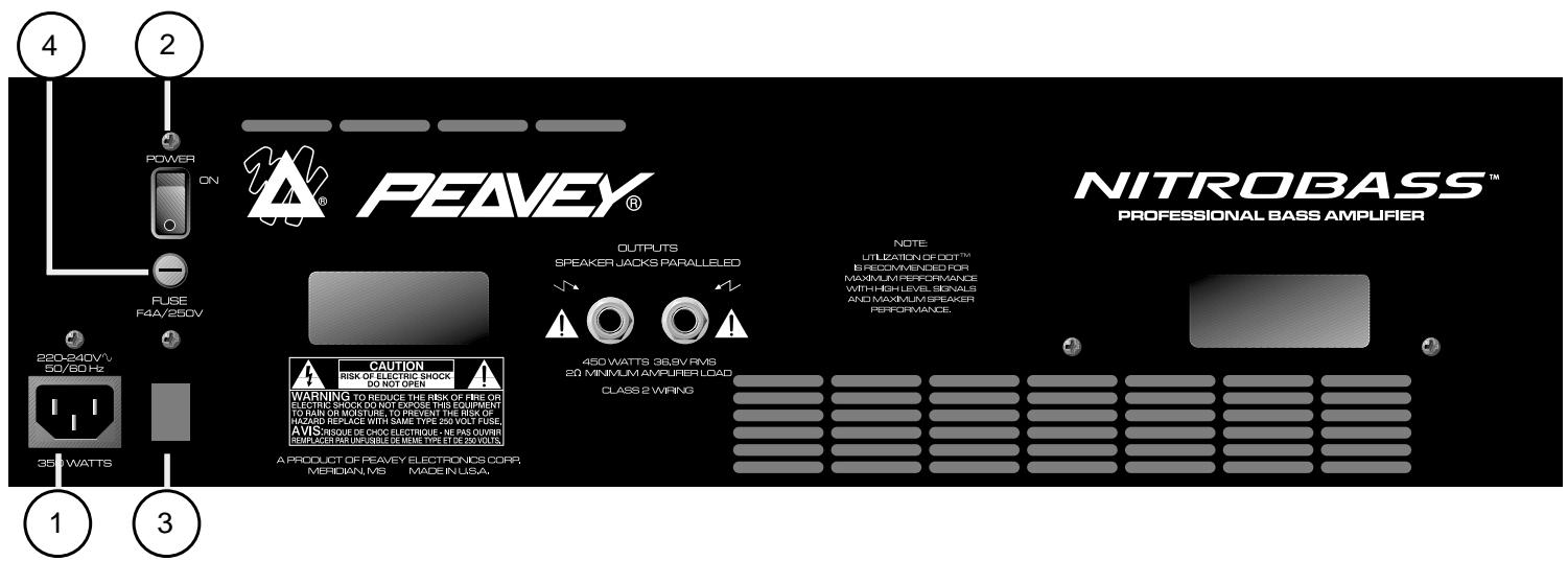 PEAVEY NITROBASS - Caracteristiques: - 1