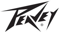 PEAVEY PENTA - Exclusions of Damages - 1