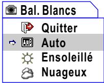 AIPTEK POCKET DV 3500 - Réglage de l'équilibre des blancs - 2