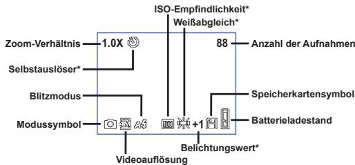 AIPTEK HDDV 8000 - Lesen der LCD-Anzeigen - 2