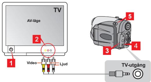 AIPTEK HDDV 8000 - Ansluta kameran till TV:n - 1