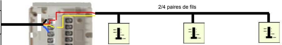 LEA ED04 - Boîtier de dérivation 12p avec réglette - 3