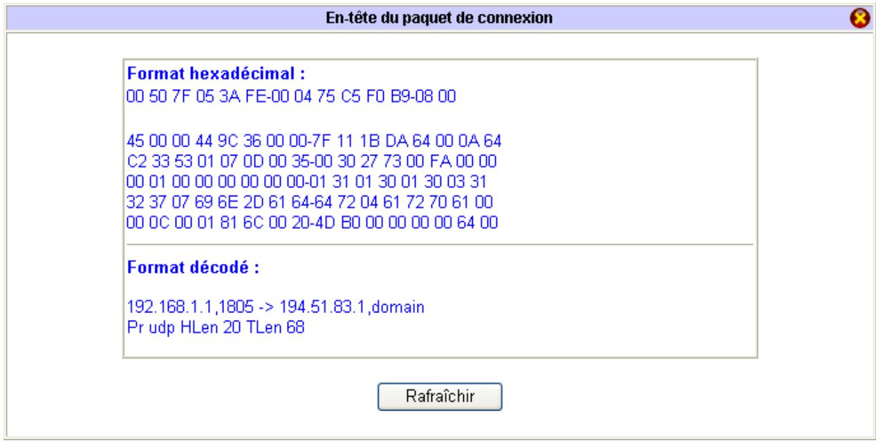 BEWAN VPN BOOSTER 32G - Visualisation de l'en-tête du paquet de connexion - 1