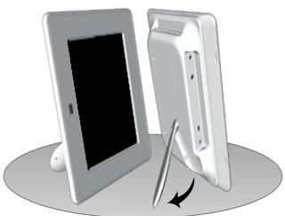 VIEWSONIC DF87G - Mass Storage - 2