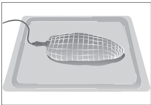 TEKA HA-870 - Como colocar a sonda de carne - 1