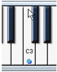 STEINBERG HALION - Le clavier - 2