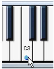 STEINBERG HALION - Le clavier - 1